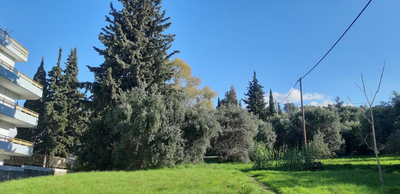 Όμορφο Studio Στην Πόλη Πάτρα Patras Exterior foto